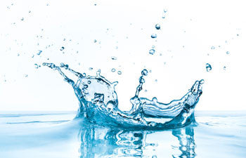 Water: The Substance of Life