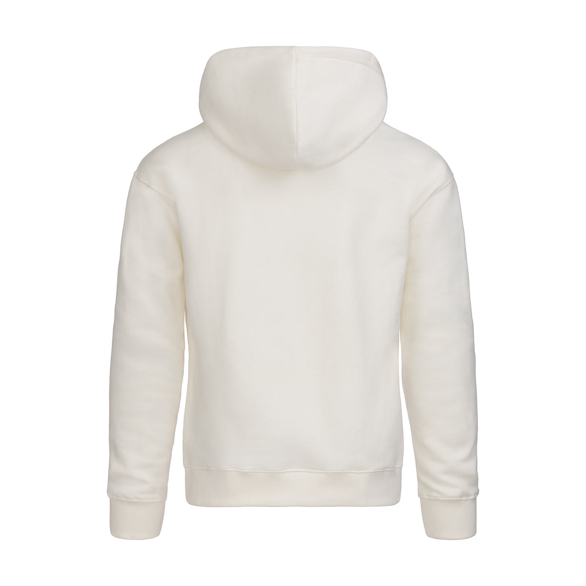 ABSOLUTE360 men's & women's pullover hoodie in white , back view on white background
