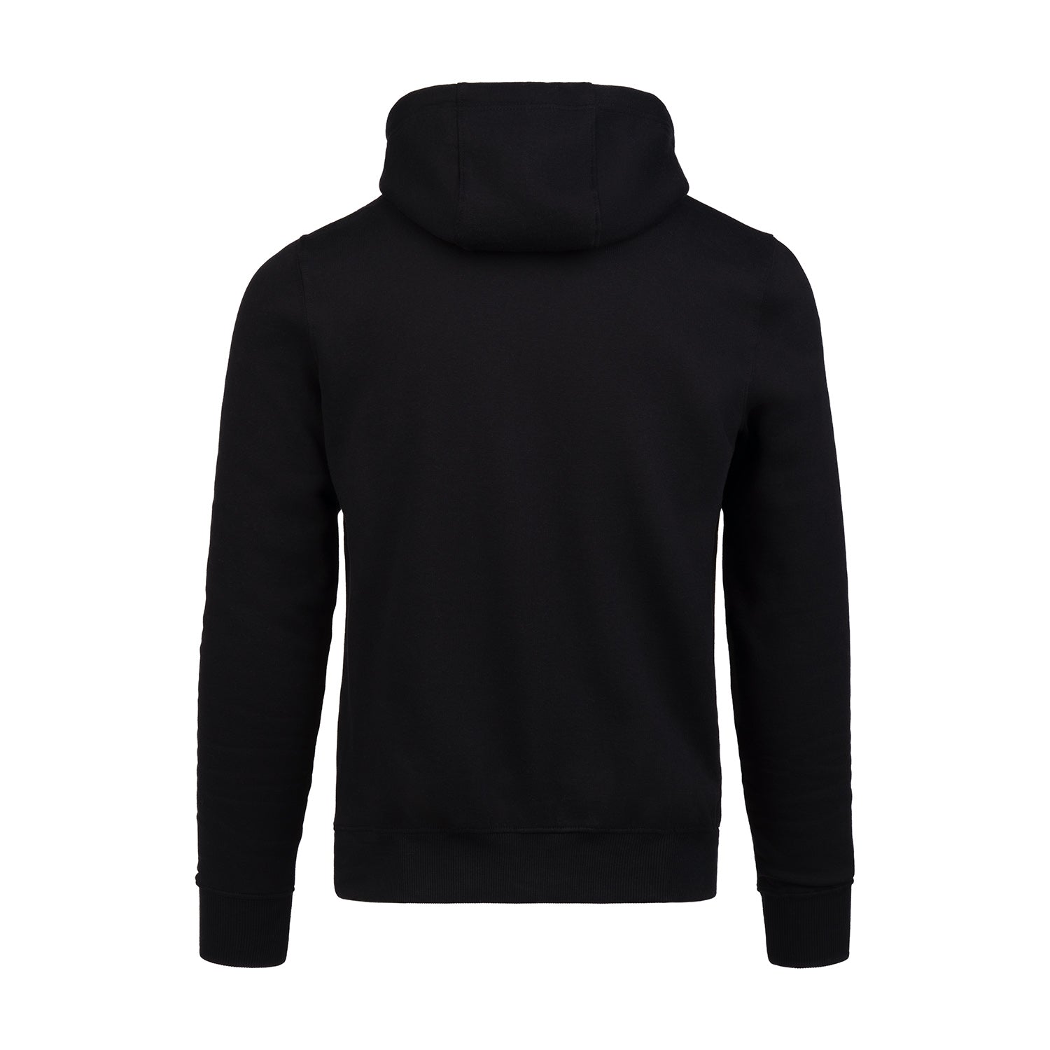ABSOLUTE360 Logo men's & women's pullover hoodie in black, back view on white background